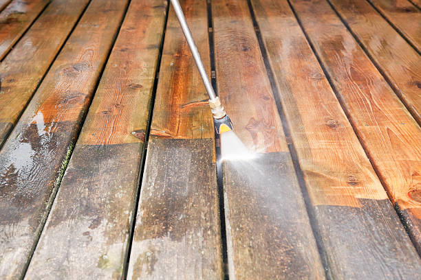 Best Factory Floor Cleaning  in Chevy Chase View, MD